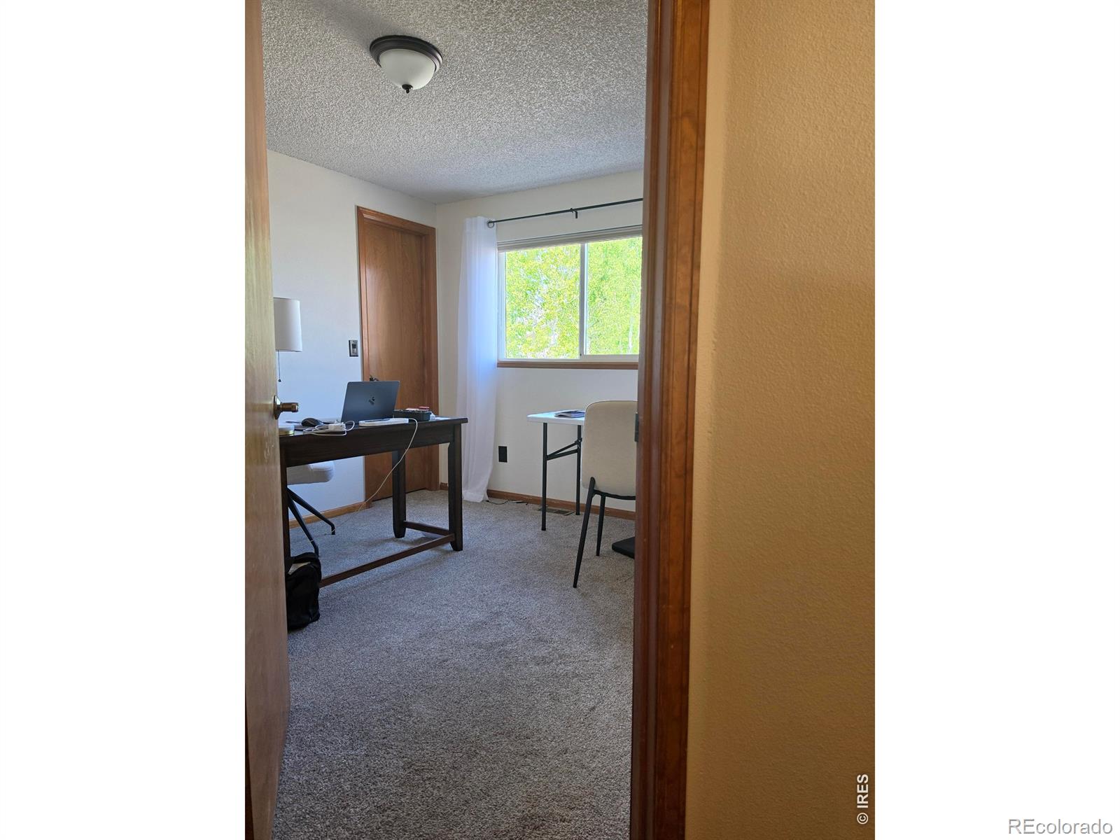 1479 Cattail Drive Loveland CO 80537