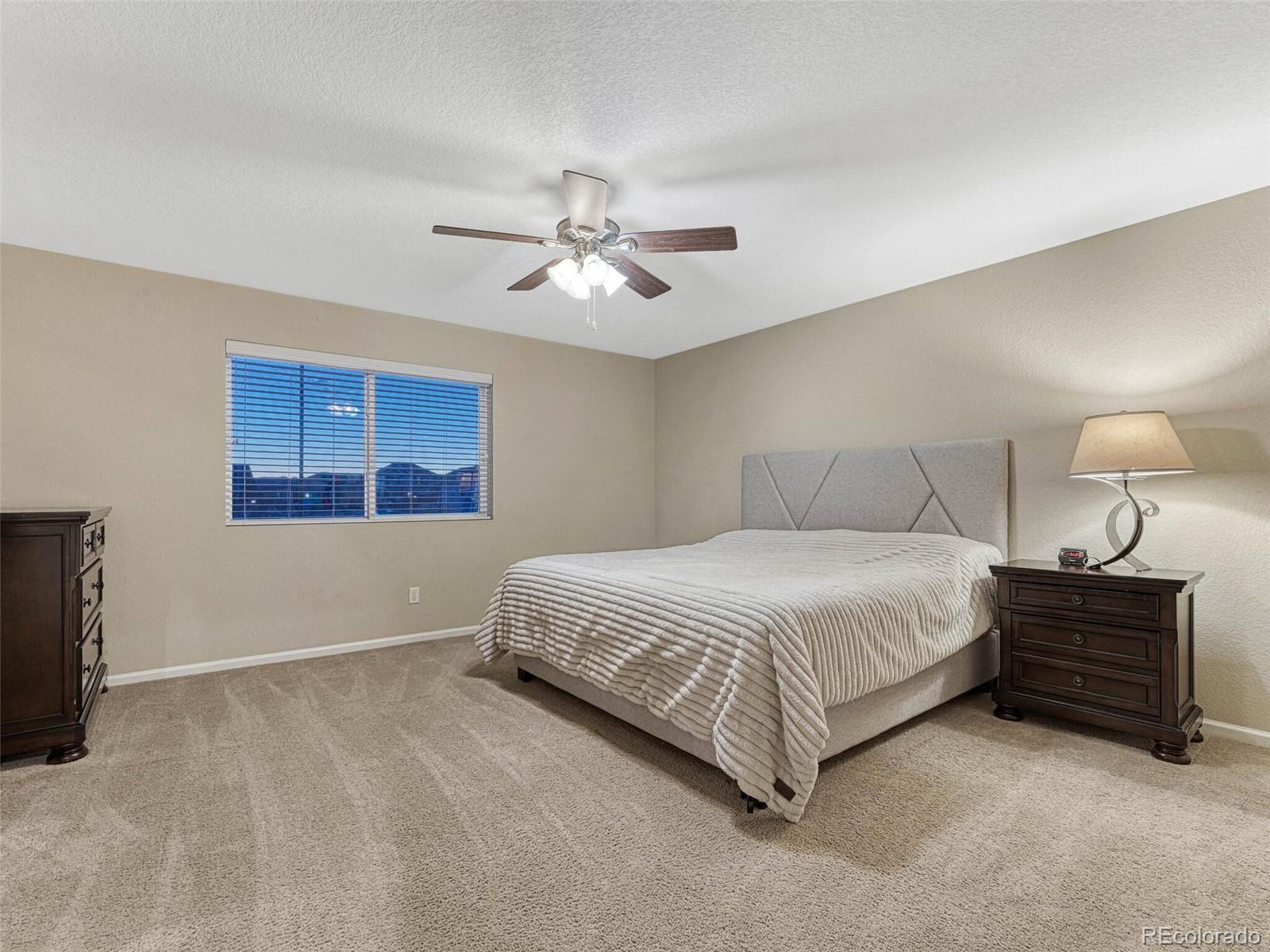 7310 Blue Water Drive Castle Rock CO 80108