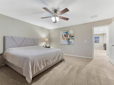 7310 Blue Water Drive Castle Rock CO 80108