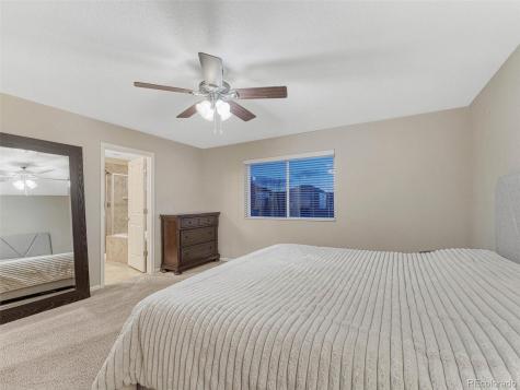 7310 Blue Water Drive Castle Rock CO 80108