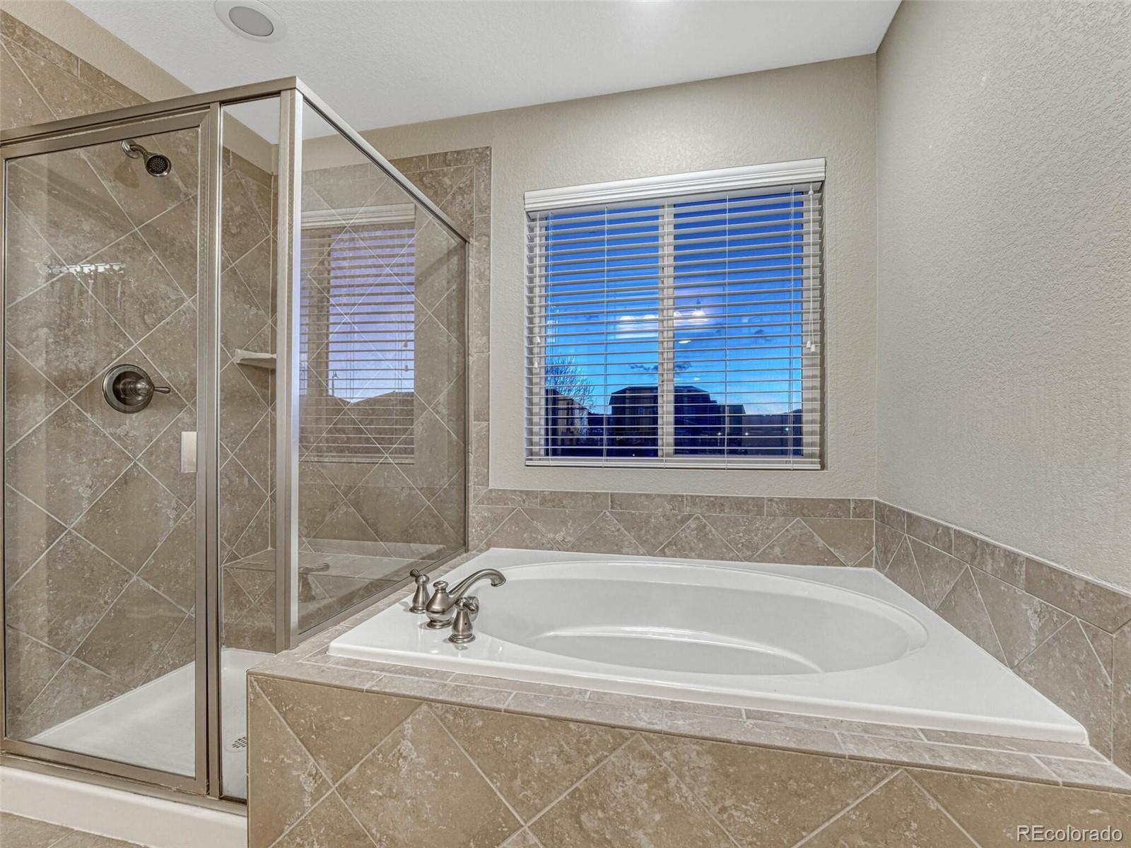 7310 Blue Water Drive Castle Rock CO 80108