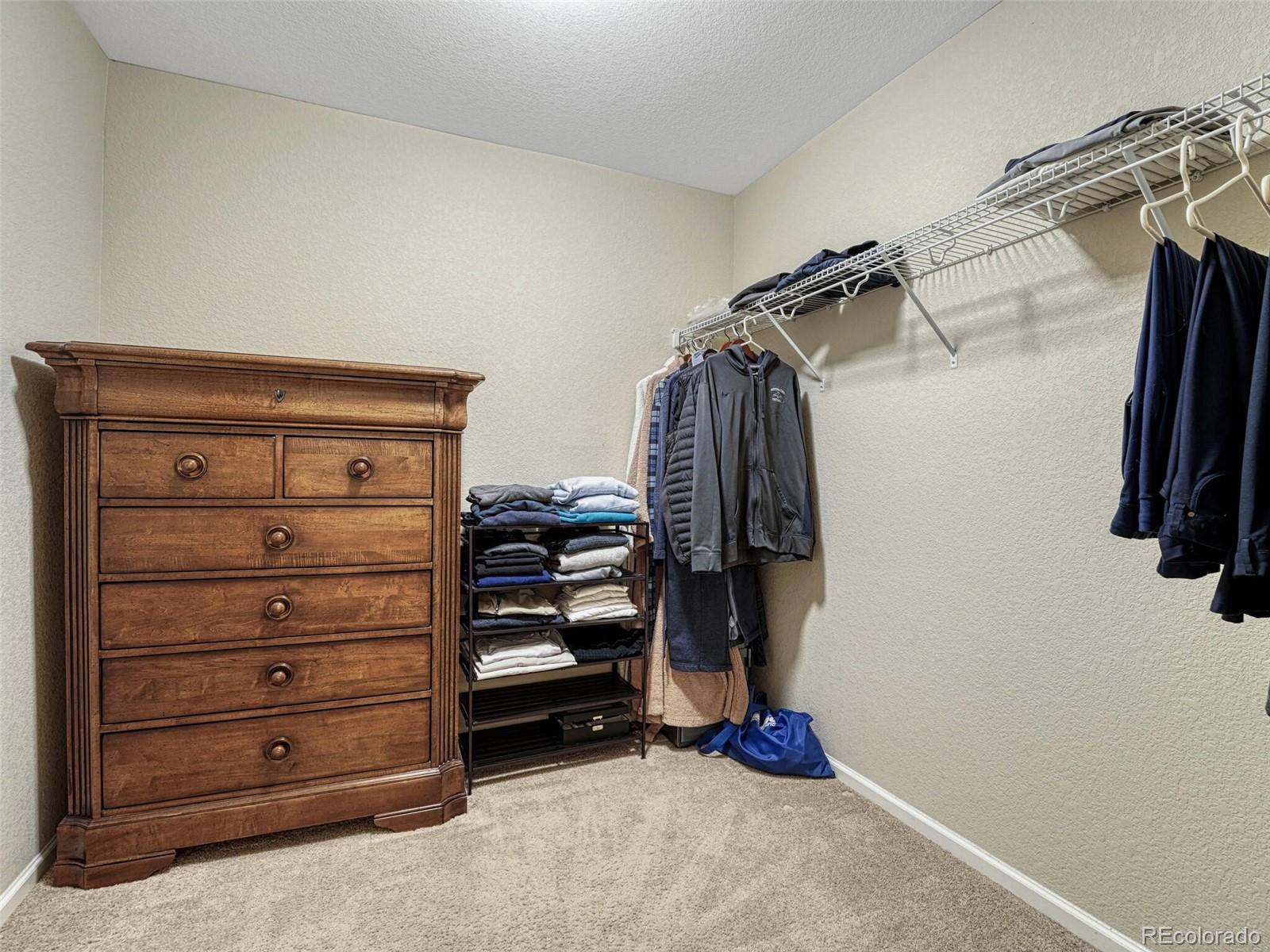7310 Blue Water Drive Castle Rock CO 80108