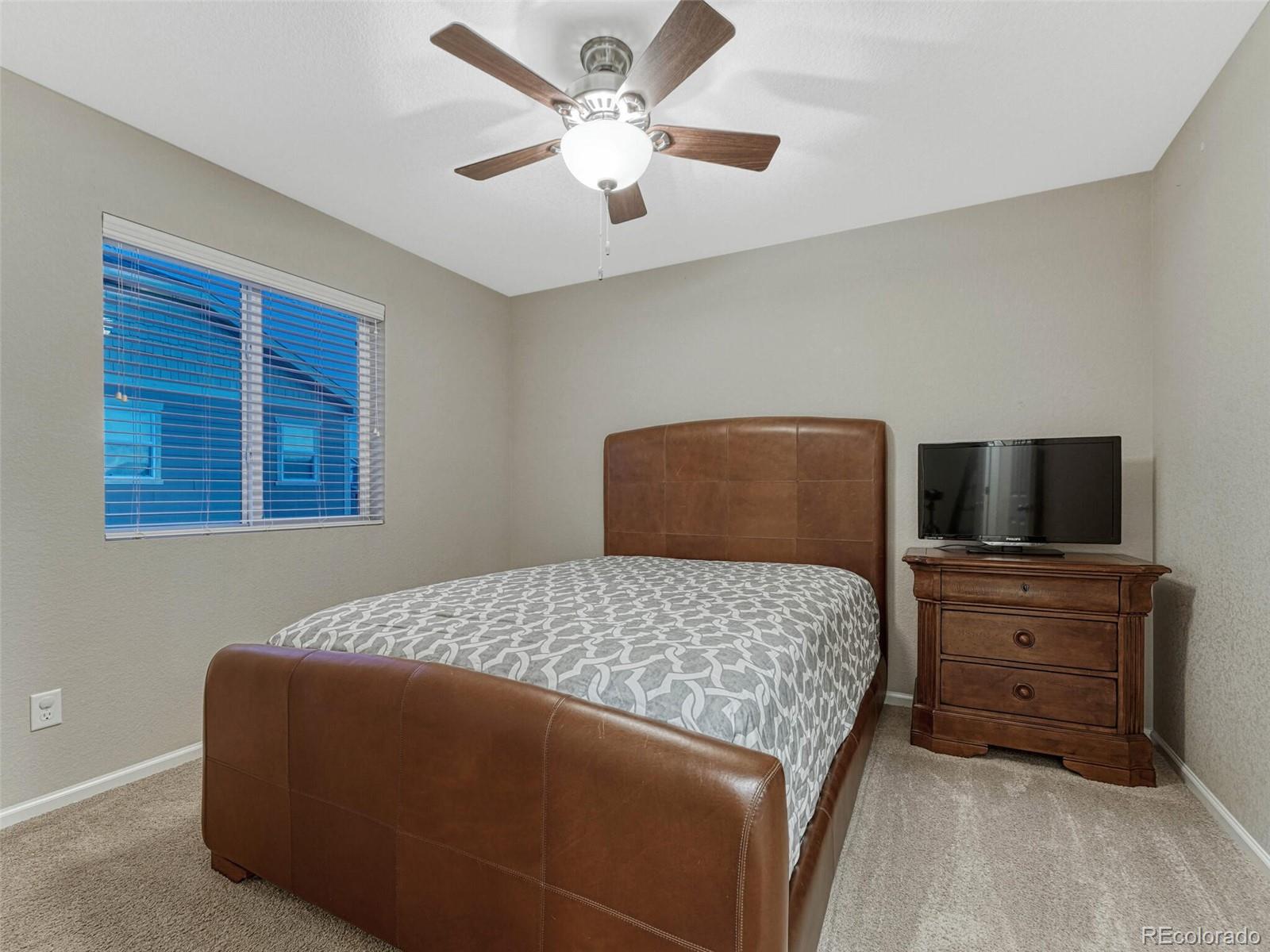 7310 Blue Water Drive Castle Rock CO 80108