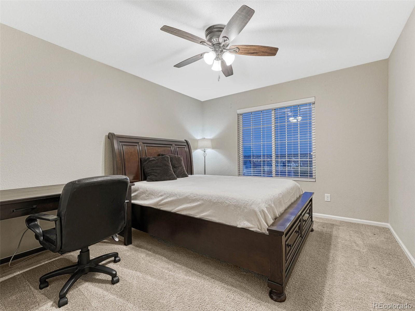 7310 Blue Water Drive Castle Rock CO 80108