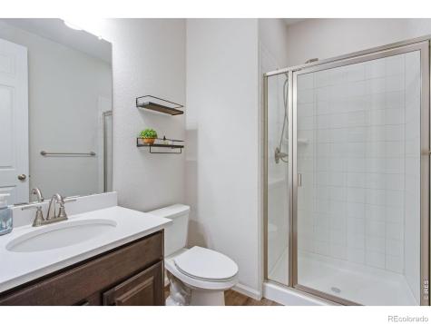 5604 Congressional Court Windsor CO 80528