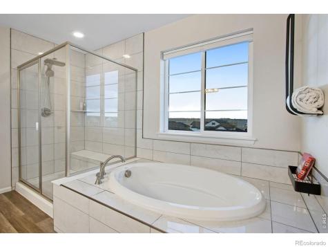 5604 Congressional Court Windsor CO 80528