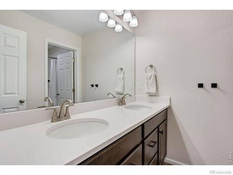 5604 Congressional Court Windsor CO 80528