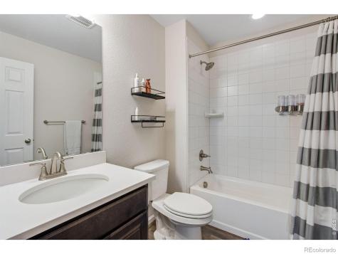 5604 Congressional Court Windsor CO 80528