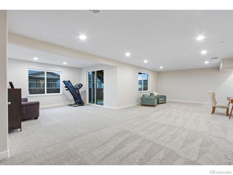5604 Congressional Court Windsor CO 80528
