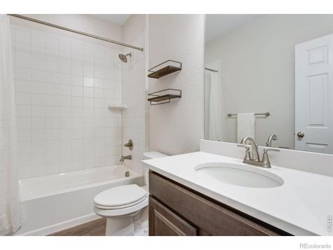 5604 Congressional Court Windsor CO 80528