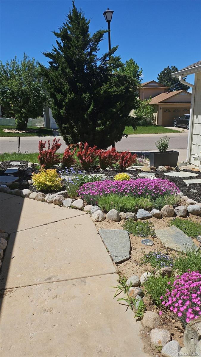 581 Longfellow Lane Highlands Ranch CO 80126