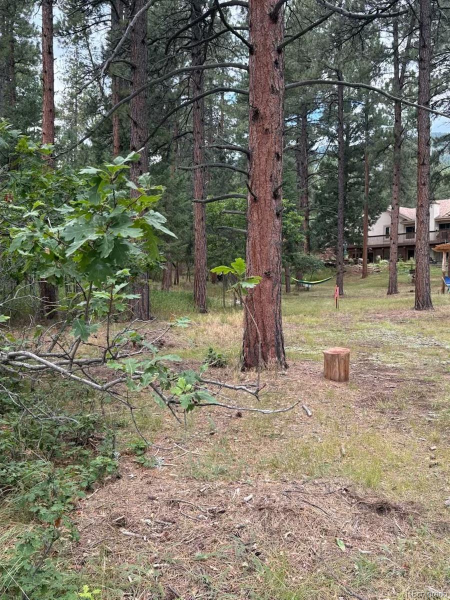 5028 Crow Drive Larkspur CO 80118