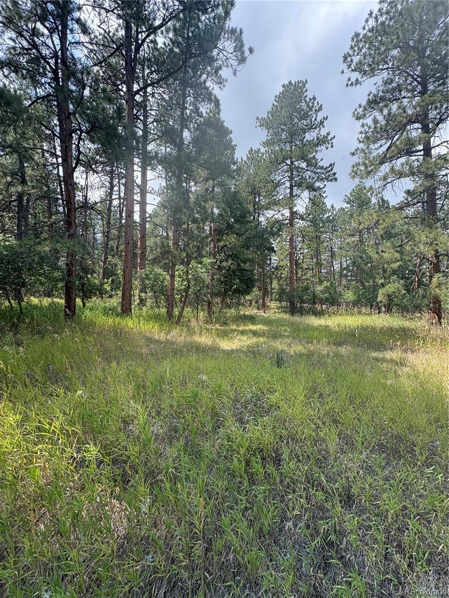 5028 Crow Drive Larkspur CO 80118