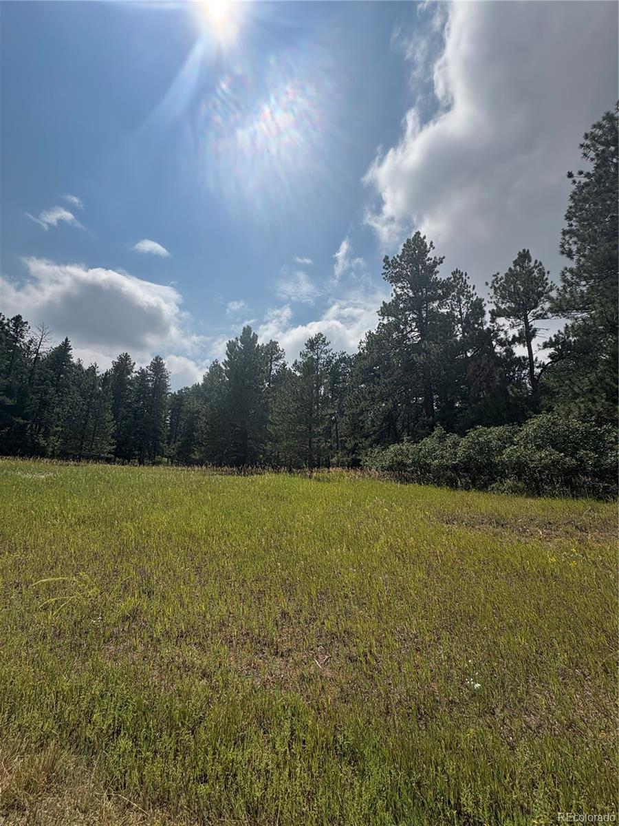 5028 Crow Drive Larkspur CO 80118
