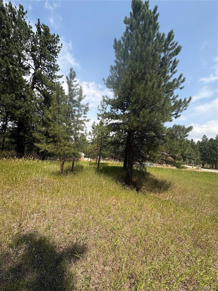 5028 Crow Drive Larkspur CO 80118