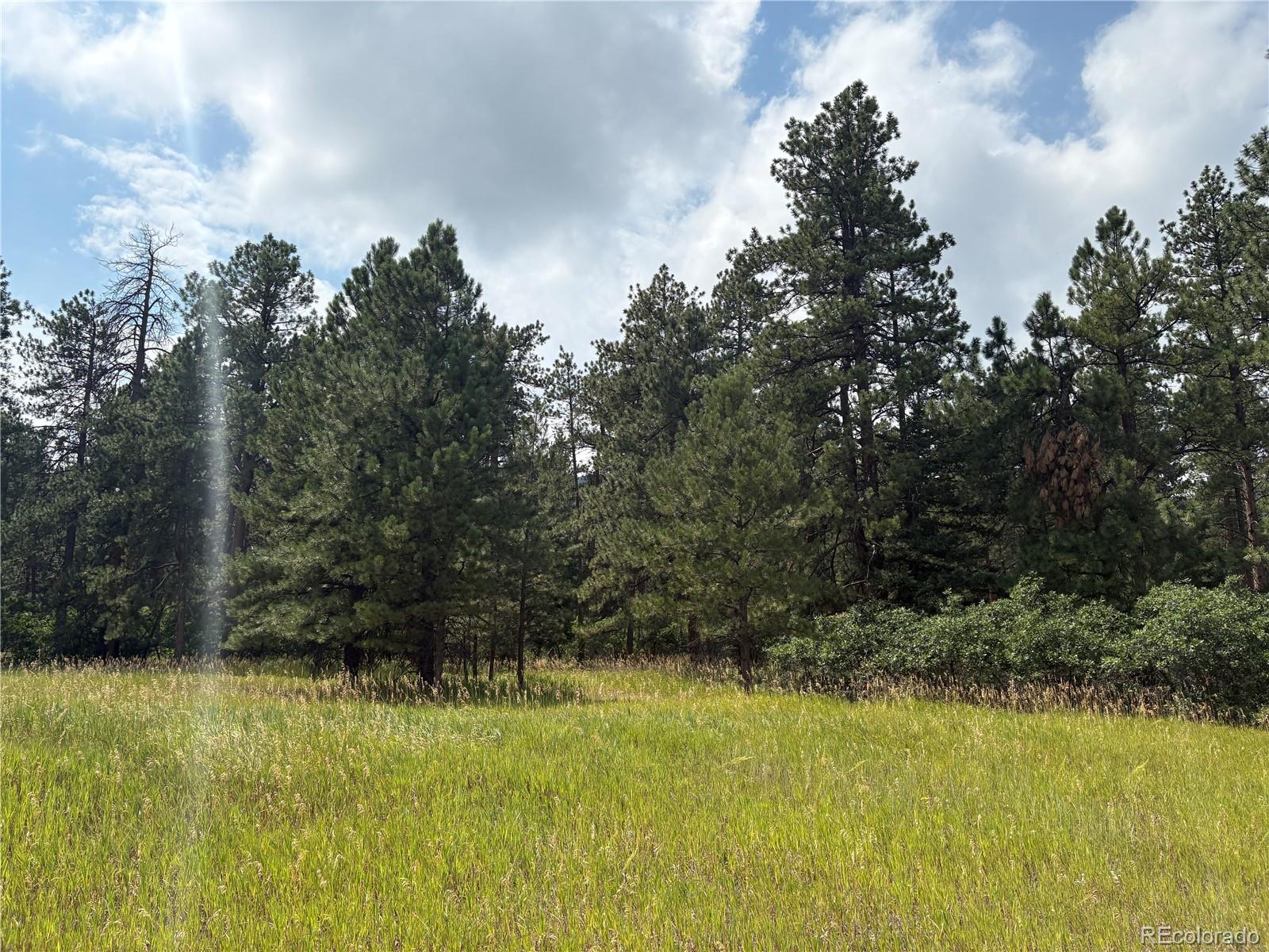 5028 Crow Drive Larkspur CO 80118
