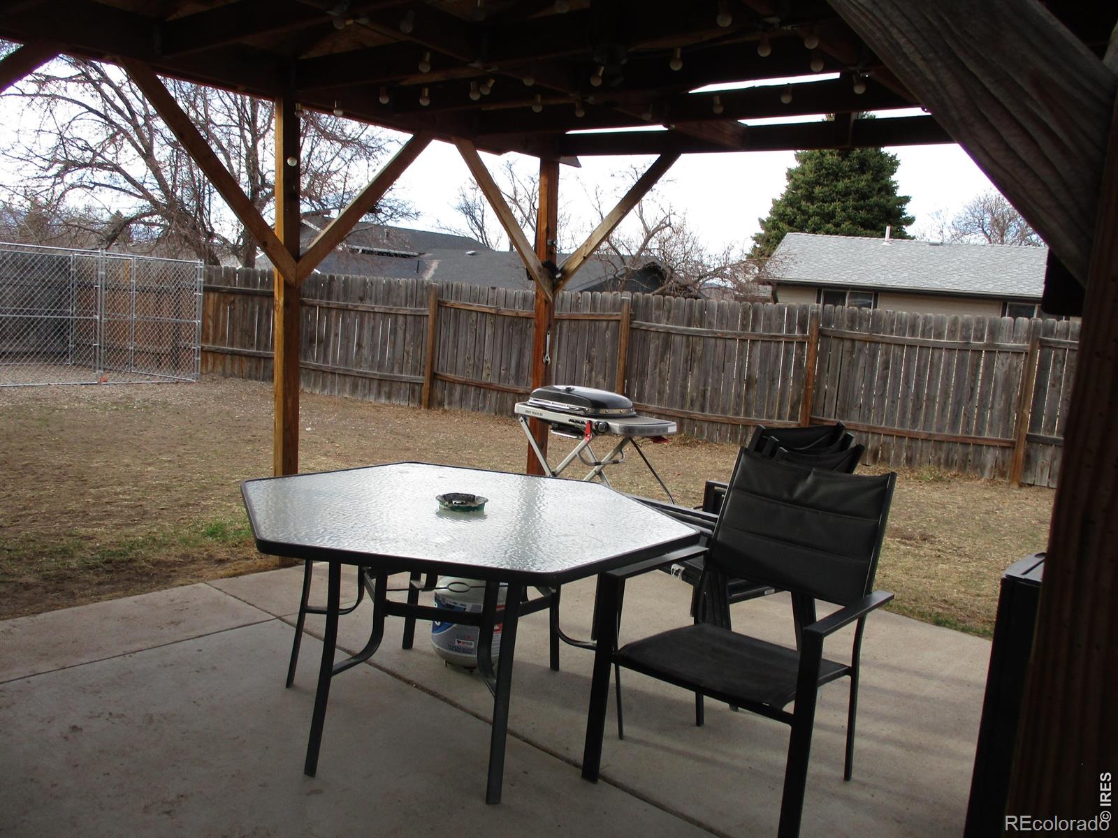 343 Knotty Place Loveland CO 80538