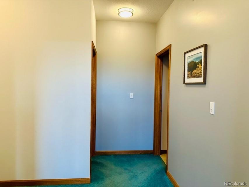 105 Indian Hill Road Mosca CO 81146