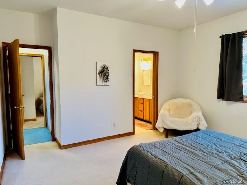 105 Indian Hill Road Mosca CO 81146