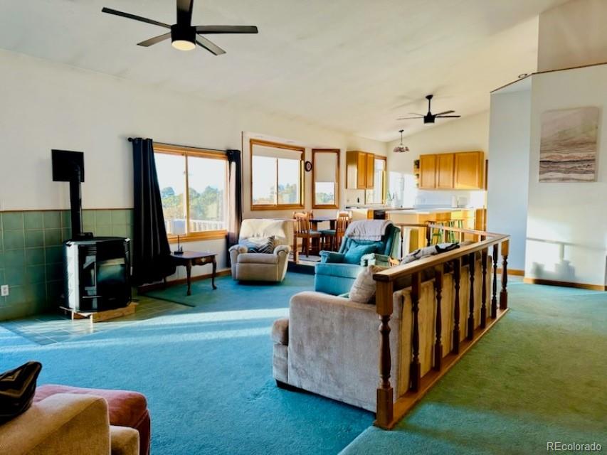 105 Indian Hill Road Mosca CO 81146