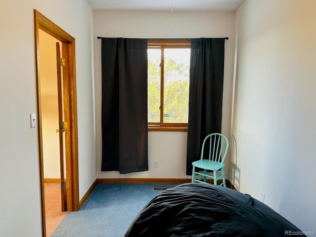 105 Indian Hill Road Mosca CO 81146