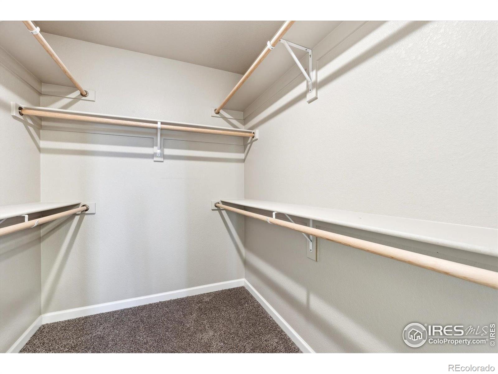311 Shoveler Way Johnstown CO 80534