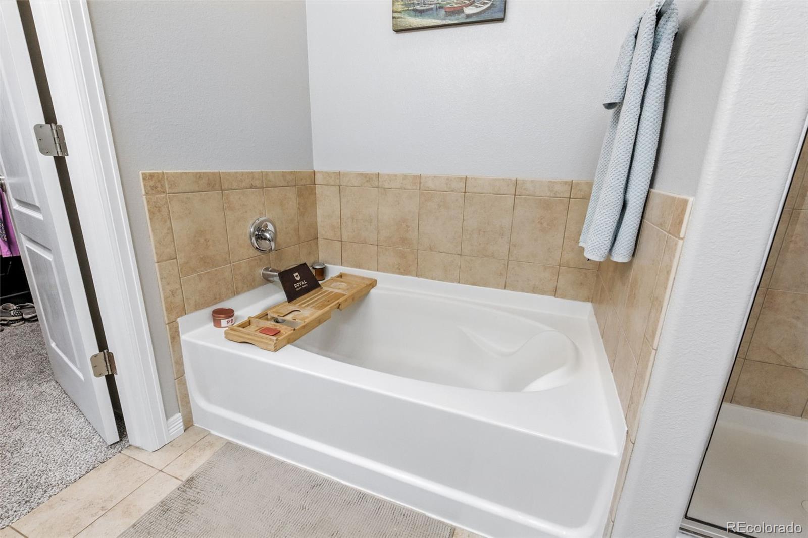 15910 Savory Circle Parker CO 80134