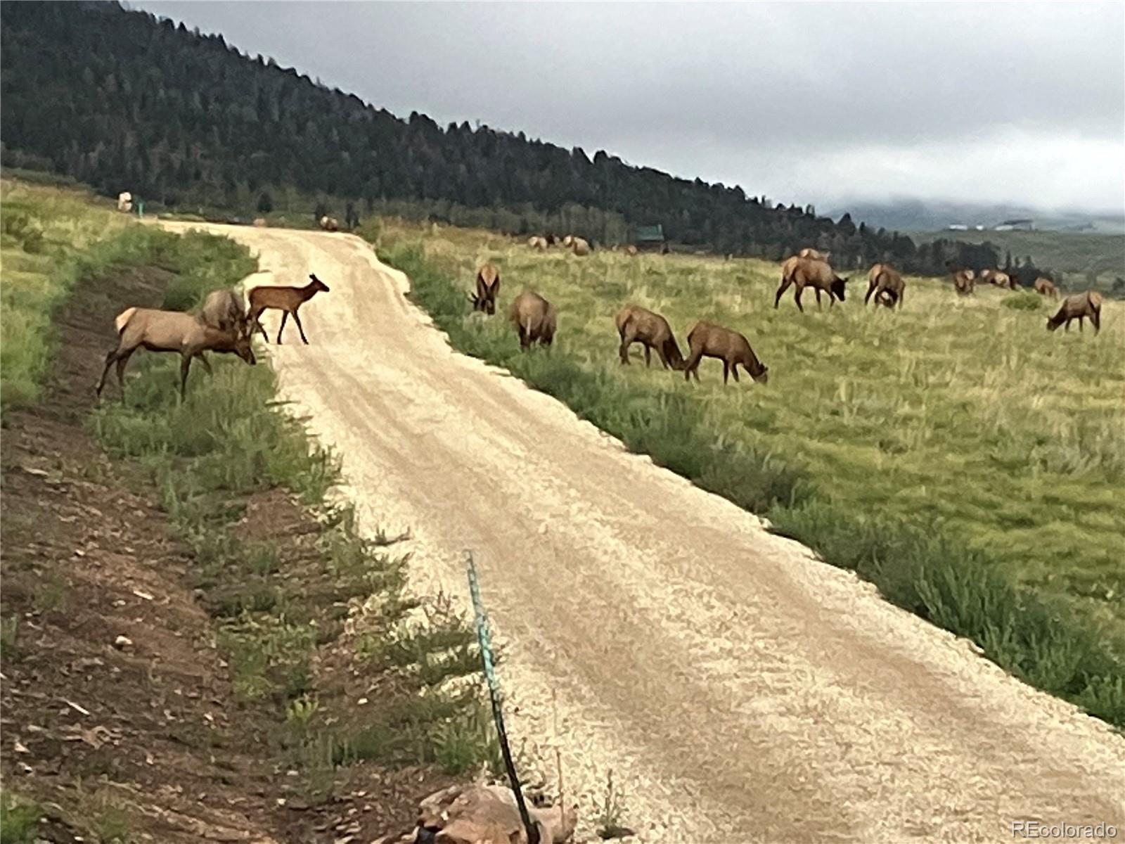 1115 Eagle Gate Road Westcliffe CO 81252
