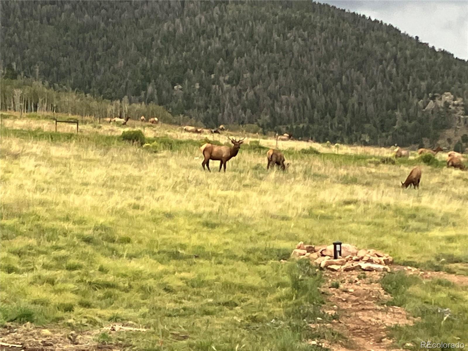 1115 Eagle Gate Road Westcliffe CO 81252
