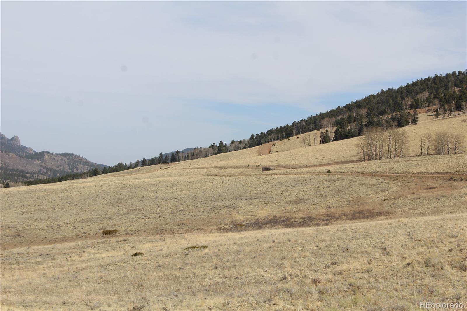 1115 Eagle Gate Road Westcliffe CO 81252