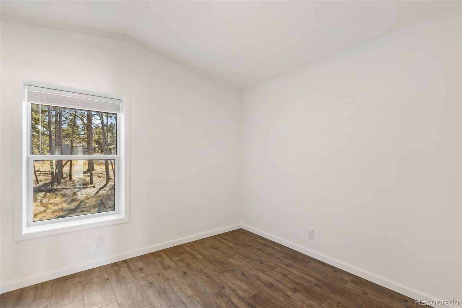 1181 Calm Mountain Woodland Park CO 80863