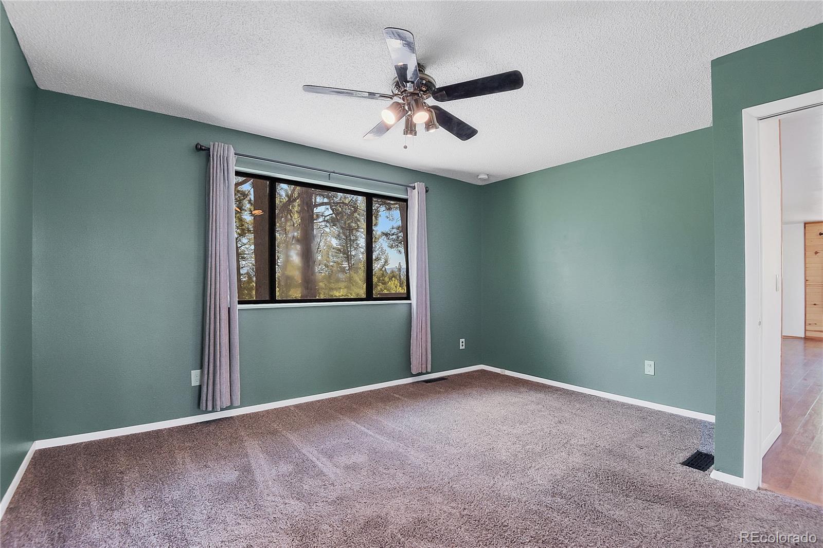 12276 Styve Road Conifer CO 80433