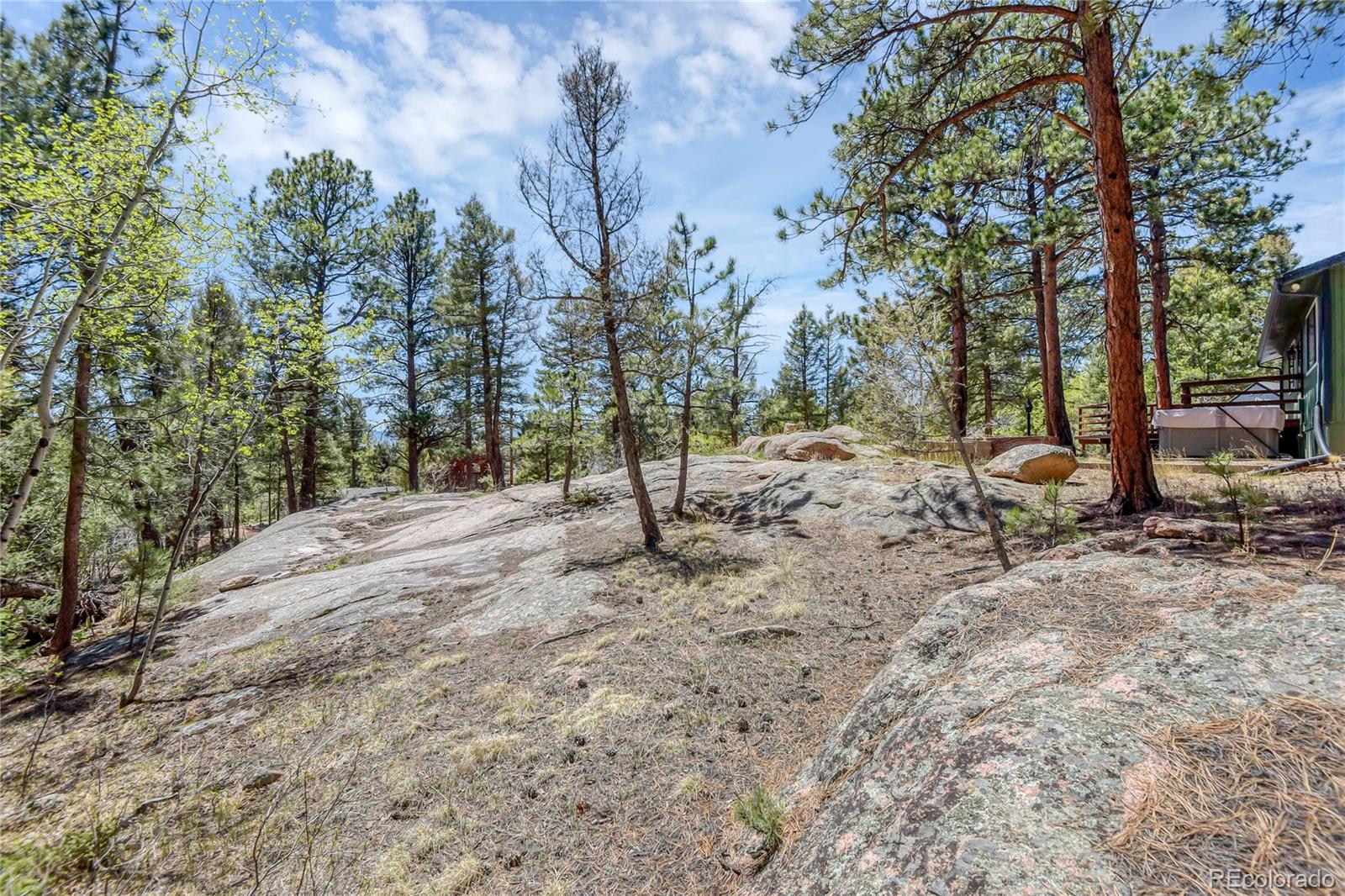 12276 Styve Road Conifer CO 80433