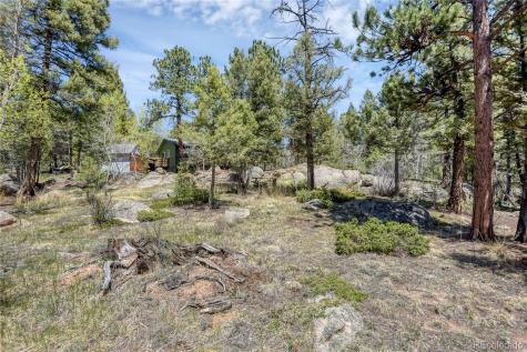 12276 Styve Road Conifer CO 80433