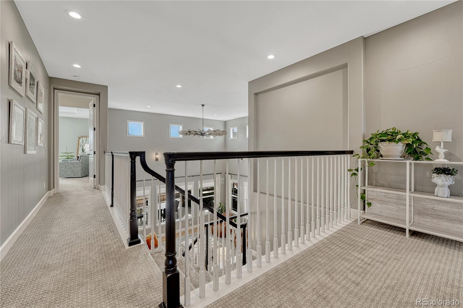 10482 Marigold Court Highlands Ranch CO 80126
