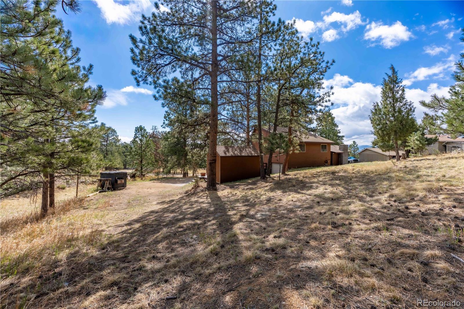 43 Doe Circle Bailey CO 80421