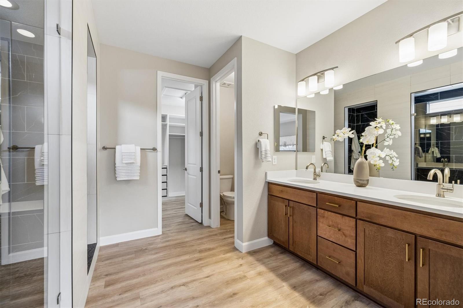 6601 Mentha Drive Castle Rock CO 80108