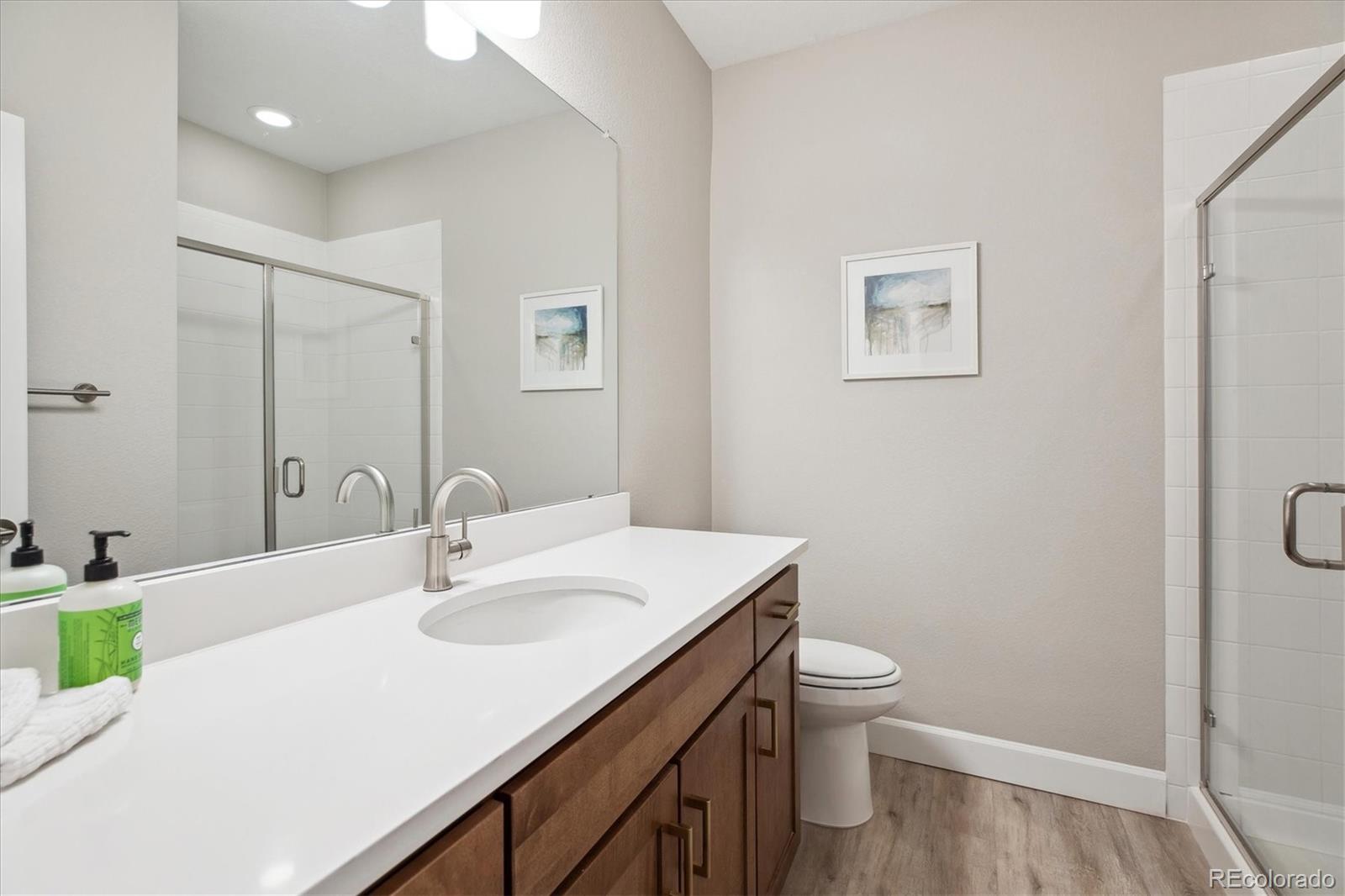 6601 Mentha Drive Castle Rock CO 80108