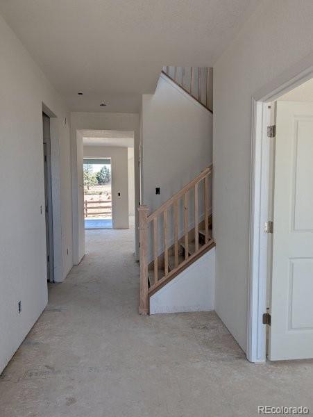 3455 Ballinger Circle Mead CO 80542