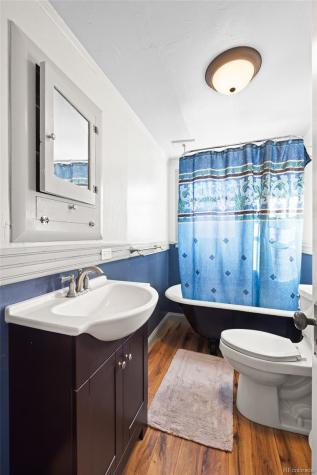 1608 Mount Massive Drive Leadville CO 80461