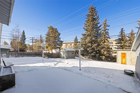 1608 Mount Massive Drive Leadville CO 80461