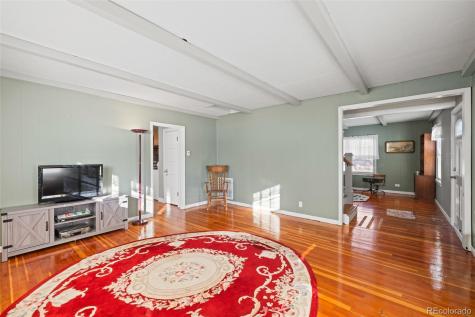 1608 Mount Massive Drive Leadville CO 80461