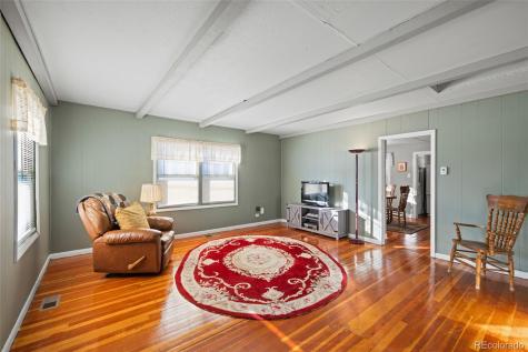 1608 Mount Massive Drive Leadville CO 80461