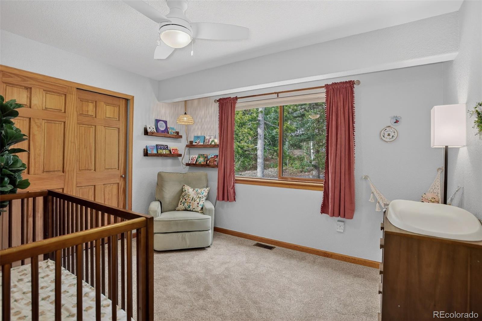 10972 Milliken Avenue Conifer CO 80433