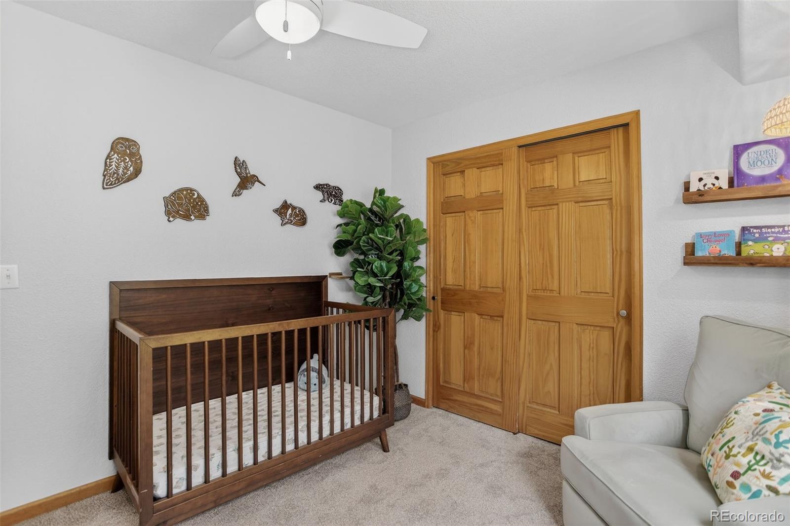 10972 Milliken Avenue Conifer CO 80433