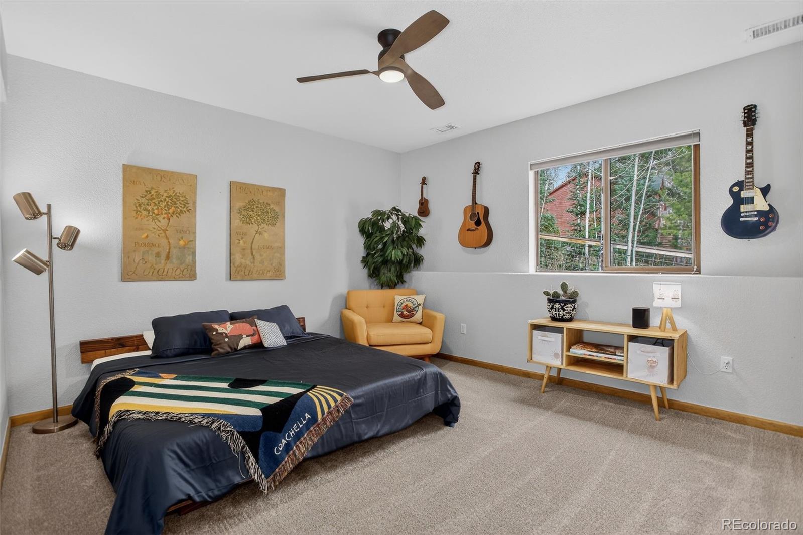 10972 Milliken Avenue Conifer CO 80433