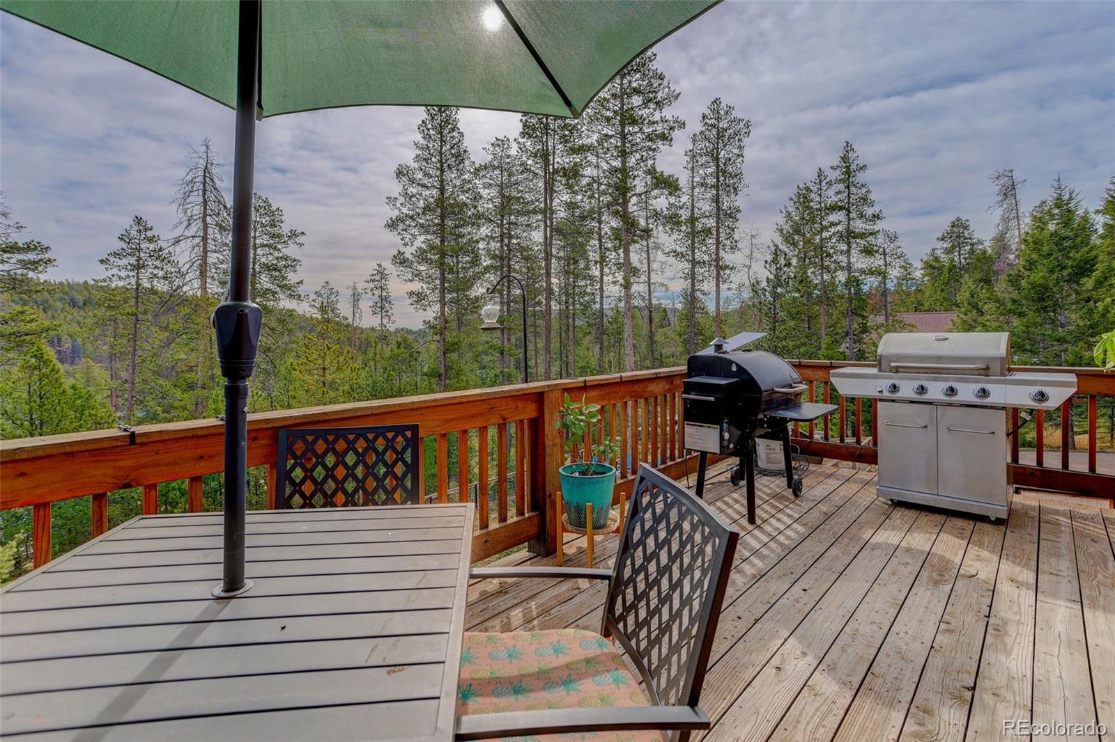 10972 Milliken Avenue Conifer CO 80433