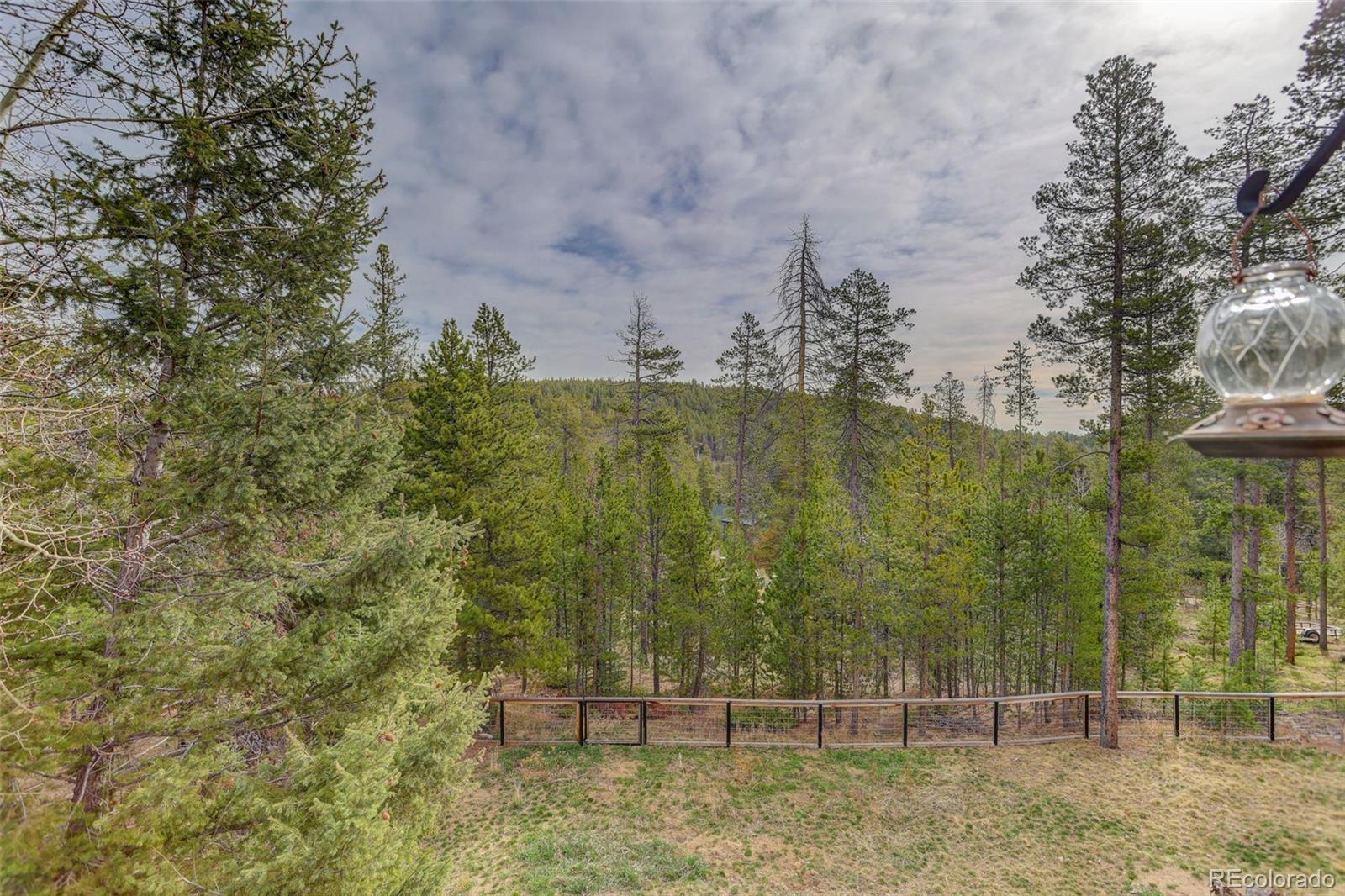 10972 Milliken Avenue Conifer CO 80433