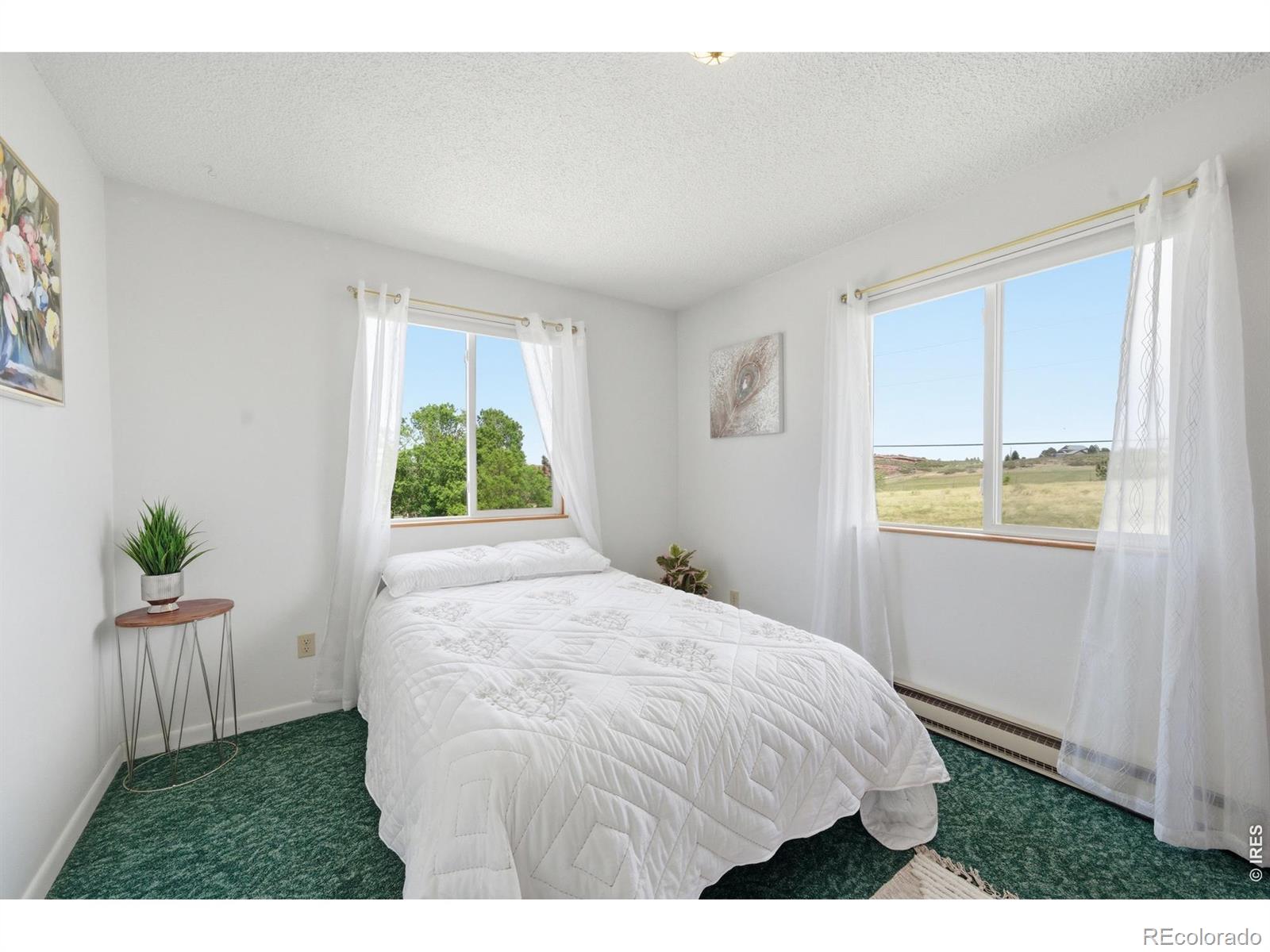 804 Redwood Court Bellvue CO 80512