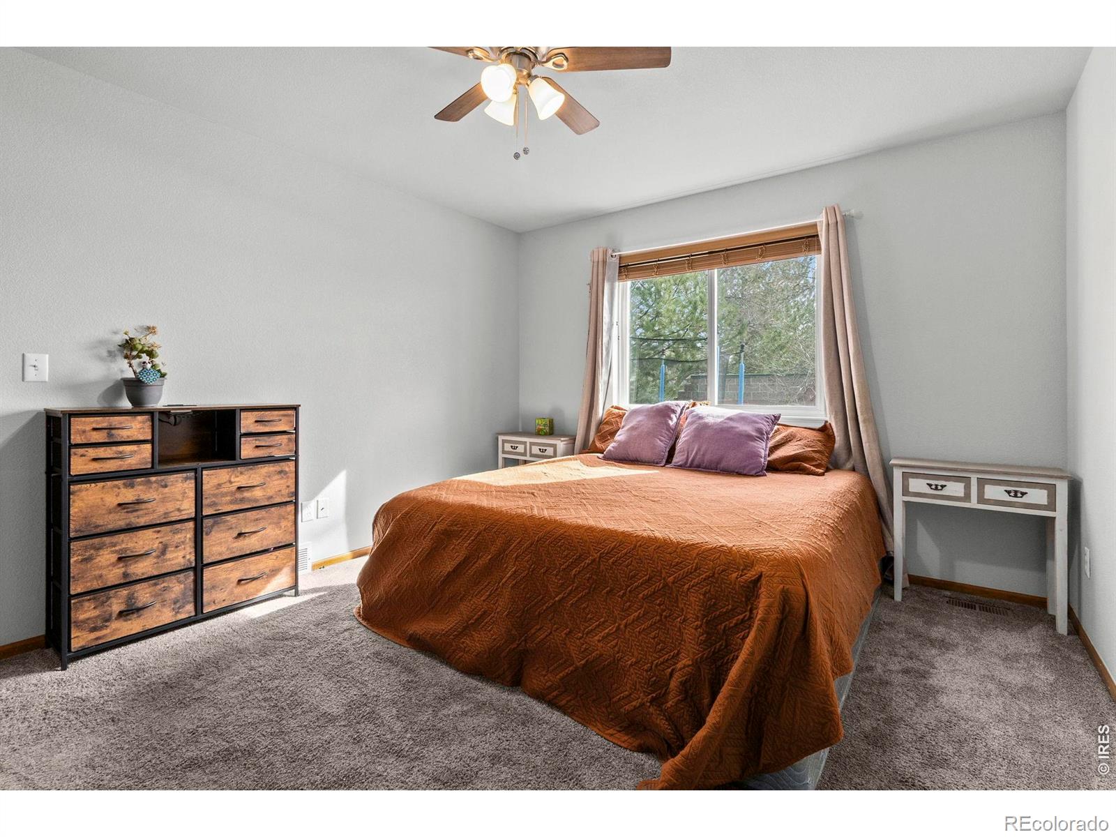 1098 Lavender Avenue Loveland CO 80537